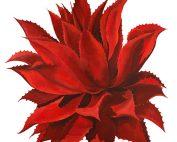 Beth Zink Outdoor Metal Art Red