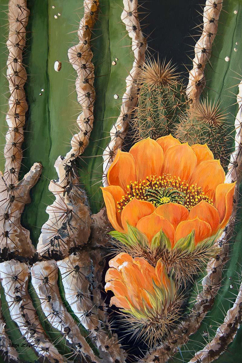 beth zink painting cactus with orange flowers blooming