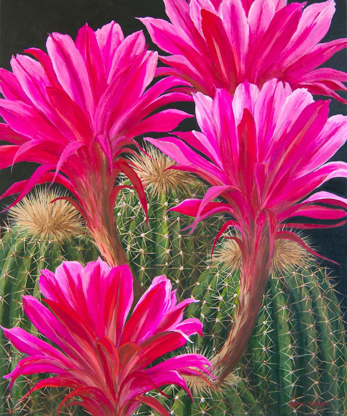 beth zink painting cactus with hot pink flowers