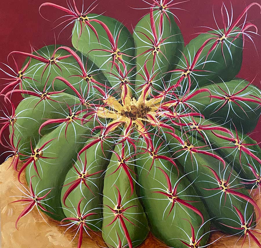 barrel cactus with red spines close up