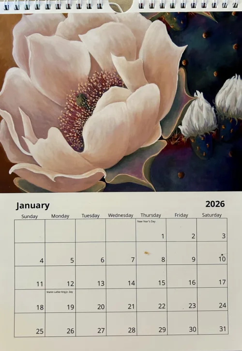 Painting by Beth Zink of a large, soft pink magnolia bloom on a calendar, accented by dark green leaves.