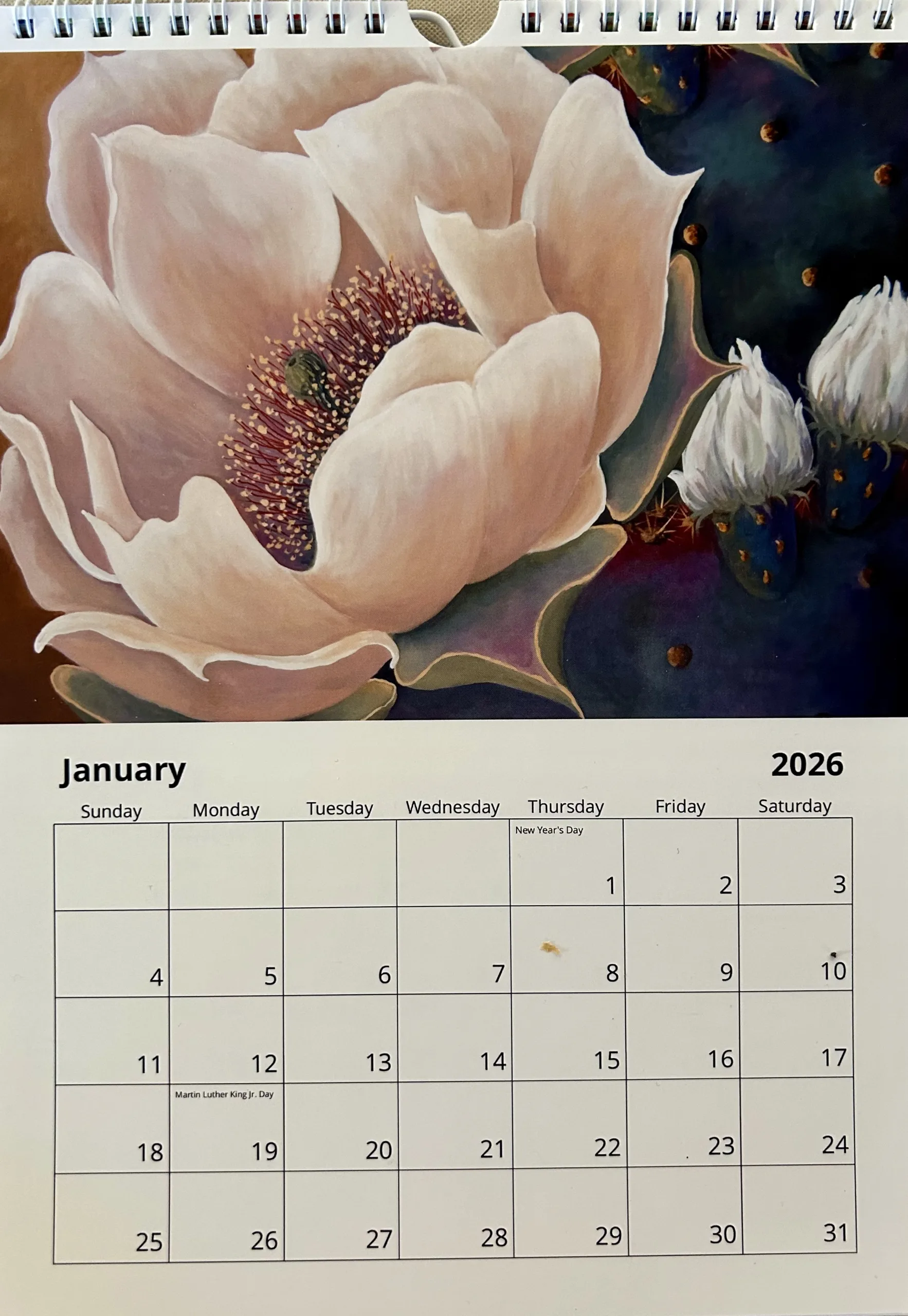Painting by Beth Zink of a large, soft pink magnolia bloom on a calendar, accented by dark green leaves.