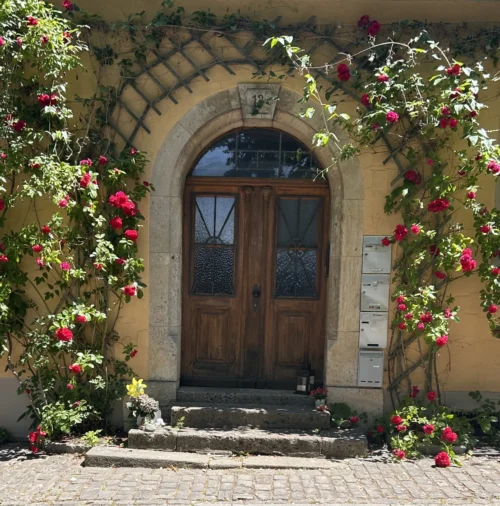 A charming arched wooden door is framed by vibrant red climbing roses on a yellow building.