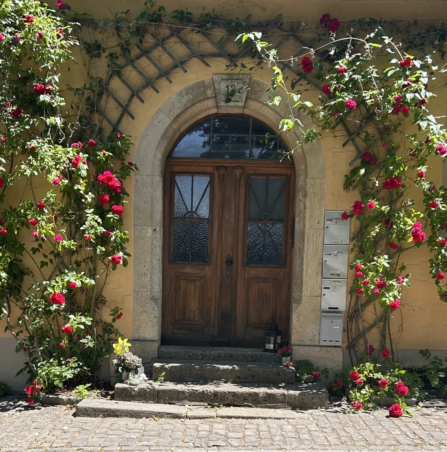 A charming arched wooden door is framed by vibrant red climbing roses on a yellow building.