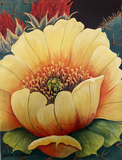 "Cactus Plants & Flowers" February 18th, 2026