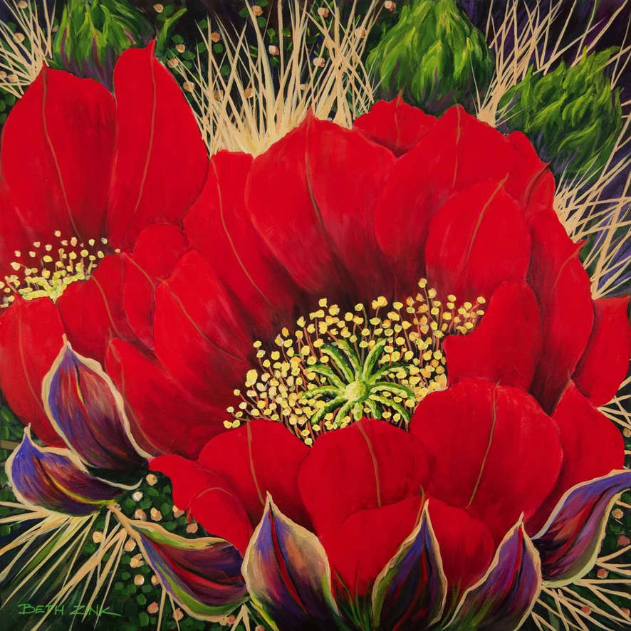 Vibrant red cactus flower blooms in a Beth Zink painting, with yellow stamens and purple accents against a green and spiky background.