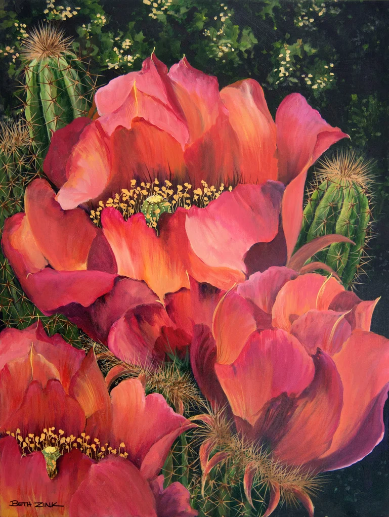 Vibrant pink cactus flowers bloom in front of spiky green cacti, painted by Beth Zink.