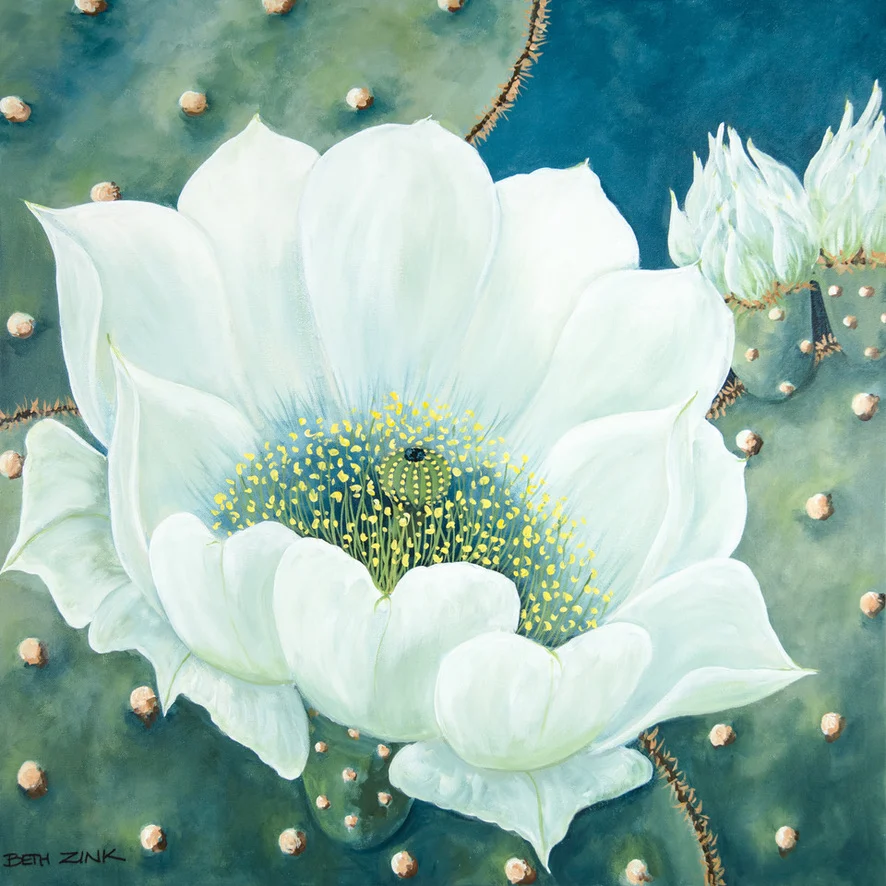 Beth Zink's painting showcases a white flower with a yellow center, set against a green cactus backdrop, adorned with small spines.