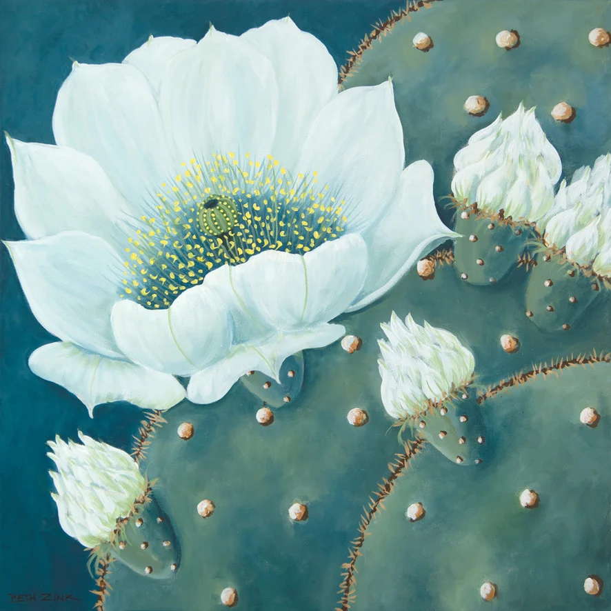 Beth Zink painting of a large white prickly pear cactus flower blooming on a green pad with buds.